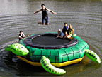 water trampoline turtle