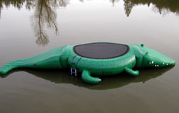 gator bounce